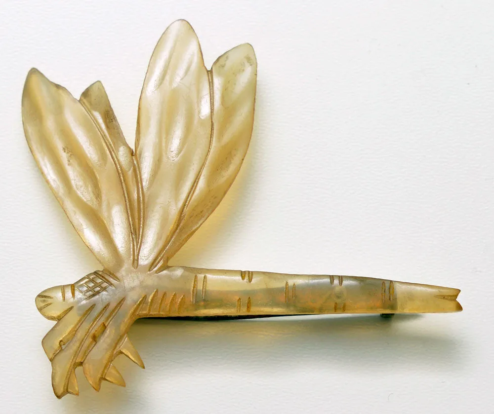 Dragonfly Landing. Carved horn brooch. French Art Nouveau.