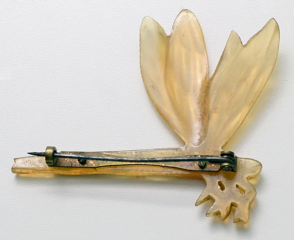 Dragonfly Landing. Carved horn brooch. French Art Nouveau.