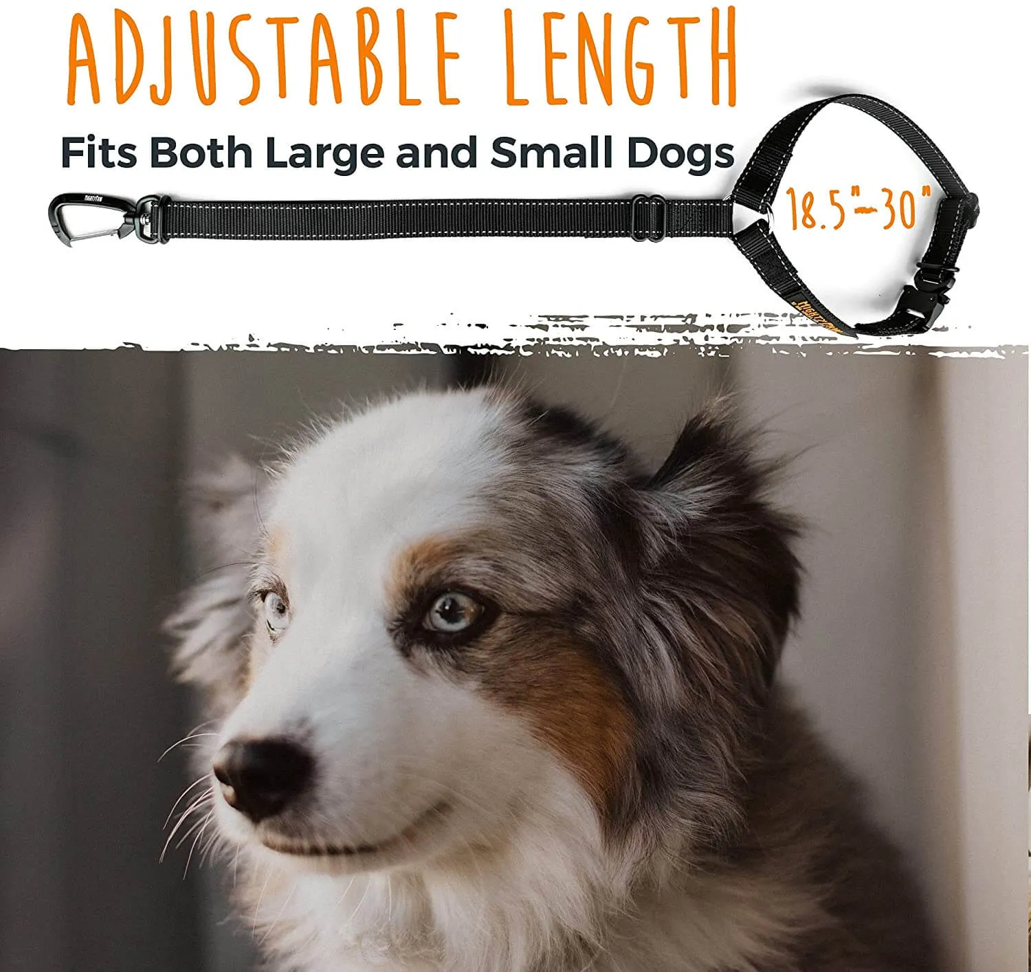 Keep Your Dog Safe on the Road with Mighty Paw Car Headrest Dog Seat Belt