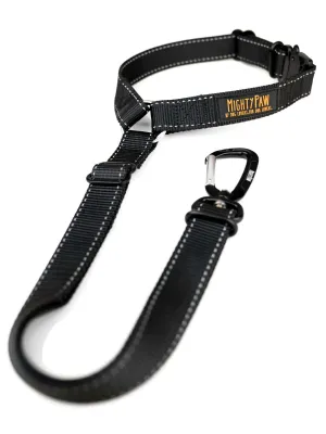 Keep Your Dog Safe on the Road with Mighty Paw Car Headrest Dog Seat Belt