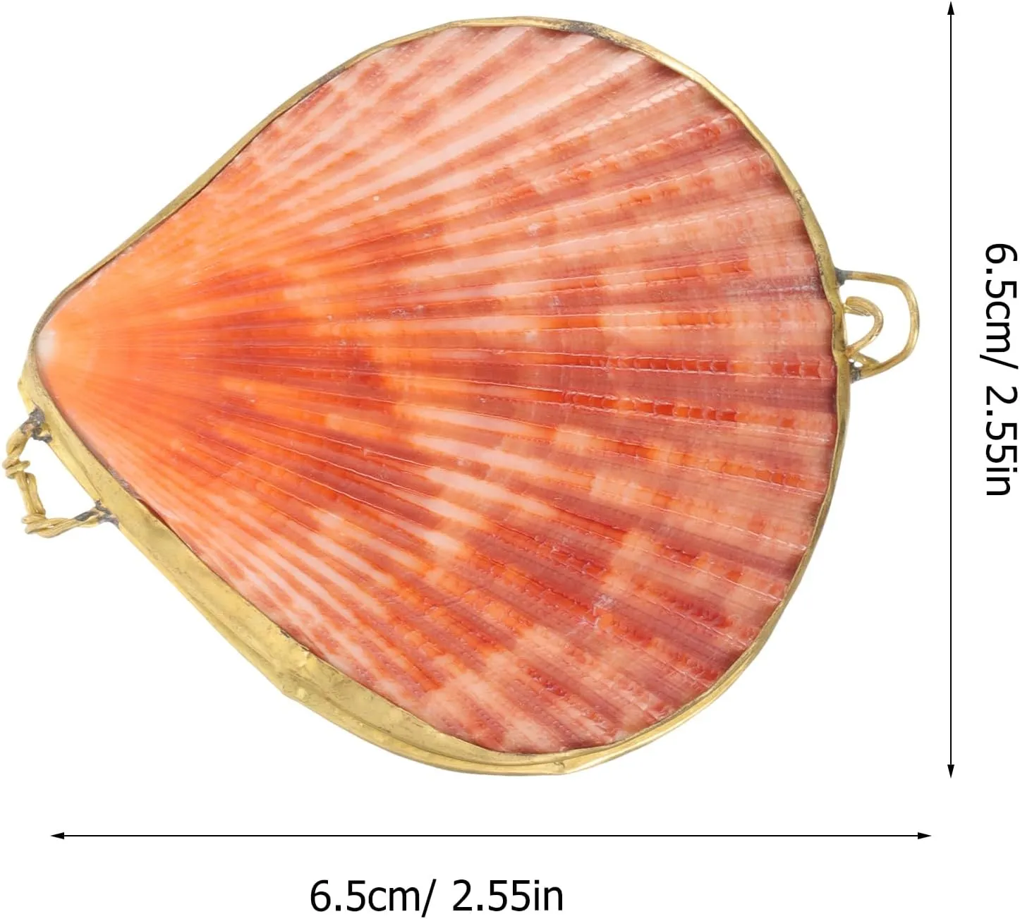 Seashell Trinket Box, Hinged Jewelry Box, Shell Shape Jewelry Organizer Desktop Decor Wedding Ring Holder Chic Natural Shells for Necklace Bracelets Supplies